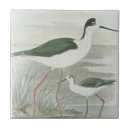 Pesquisar por animais selvagens azulejos Natureza
