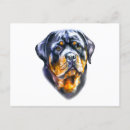 Pesquisar por cão rottweiler cartoes postais Cães