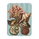 Pesquisar por dólar imas Concha