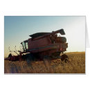 Pesquisar por liga cartoes Campo