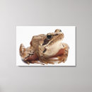 Pesquisar por réptil impressão de canvas Animal