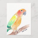 Pesquisar por protetor cartoes postais Aquarela
