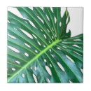 Pesquisar por tropical azulejos Caribe