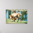 Pesquisar por parque cidade impressão de canvas Natureza