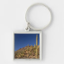 Pesquisar por tucson chaveiros Natureza