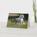 Pesquisar por cavalo cigano cartoes Bob langrish