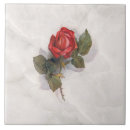 Pesquisar por rosa vermelha azulejos For her