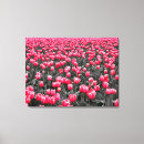 Pesquisar por tulipas impressão de canvas Fotografia