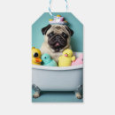 Pesquisar por pug etiquetas de presente Animal