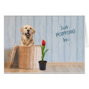 Pesquisar por vime cartoes Adorável