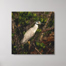 Pesquisar por égua impressão de canvas Foto