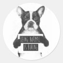 Pesquisar por chato adesivos Fofofo