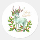 Pesquisar por framboesas vermelhas adesivos Qualquer pessoa