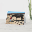 Pesquisar por grau de mestrado cartoes Faculdade