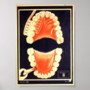 Pesquisar por boca dentes artes pôsteres Escova