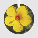Pesquisar por havaí ornamentos Hibisco