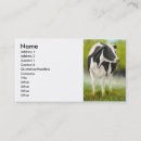 Pesquisar por vaca holstein cartao de visita Bovino