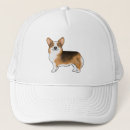 Pesquisar por pembroke bones Canino