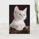 Pesquisar por gatinho anjo cartoes Felino