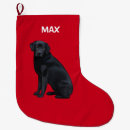 Pesquisar por labrador retriever meias de natal Cães