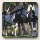 Pesquisar por pinto porta copos Foto