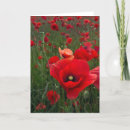 Pesquisar por attractive cartoes Beautiful