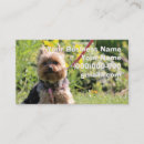Pesquisar por yorkshire terrier cartao de visita Animal