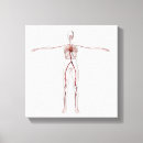 Pesquisar por coração humano impressão de canvas Fundo branco