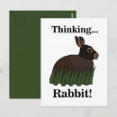 Pesquisar por bunny postais cartoes postais Animais da floresta