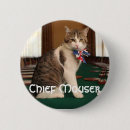Pesquisar por mouser Gato