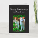 Pesquisar por funny anniversary cartoes Cats
