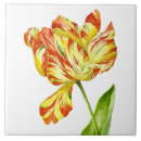 Pesquisar por das tulipas azulejos Para eles