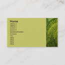 Pesquisar por samambaia cartao de visita Florista