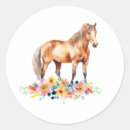 Pesquisar por cavalo e cavaleiro adesivos For kids