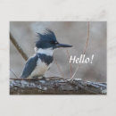 Pesquisar por punhal cartoes postais Fotografia