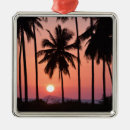 Pesquisar por palmeiras ornamentos Viagem