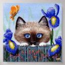 Pesquisar por ragdoll artes pôsteres Arte do gato