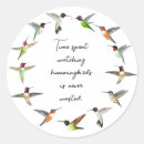 Pesquisar por colibri adesivos Pássaro
