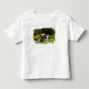 Pesquisar por anura camisetas Anuros
