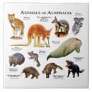 Pesquisar por um animal azulejos Mamífero