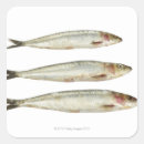 Pesquisar por sardinha adesivos Comida