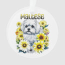 Pesquisar por cão maltês ornamentos Cãozinho