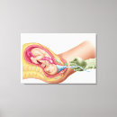 Pesquisar por feto pôsteres Saco amniotic