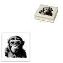 Pesquisar por macaco engraçado Animais