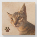 Pesquisar por foto do gato porta copos Para eles