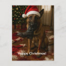 Pesquisar por malinois cartoes postais Pastor belga