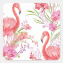 Pesquisar por pink flamingo adesivos Rosa