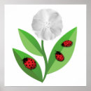 Pesquisar por besouro verde pôsteres Natureza