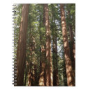 Pesquisar por wood cadernos de notas Natureza