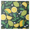 Pesquisar por fruta azulejos Orgânico